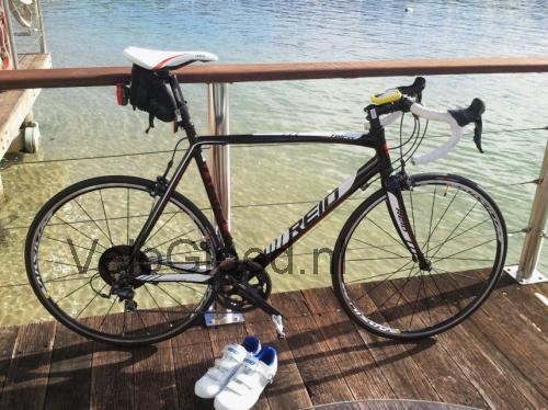 Reid Falco Elite specificaties 